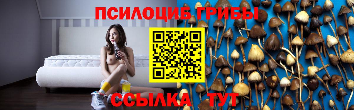 Тобольск  Галлюциногенные грибы ЛСД  Вход с VPN 